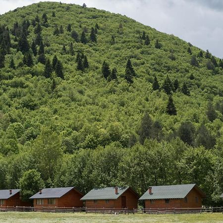 Farma Sotira Hotel Leskovik Bagian luar foto