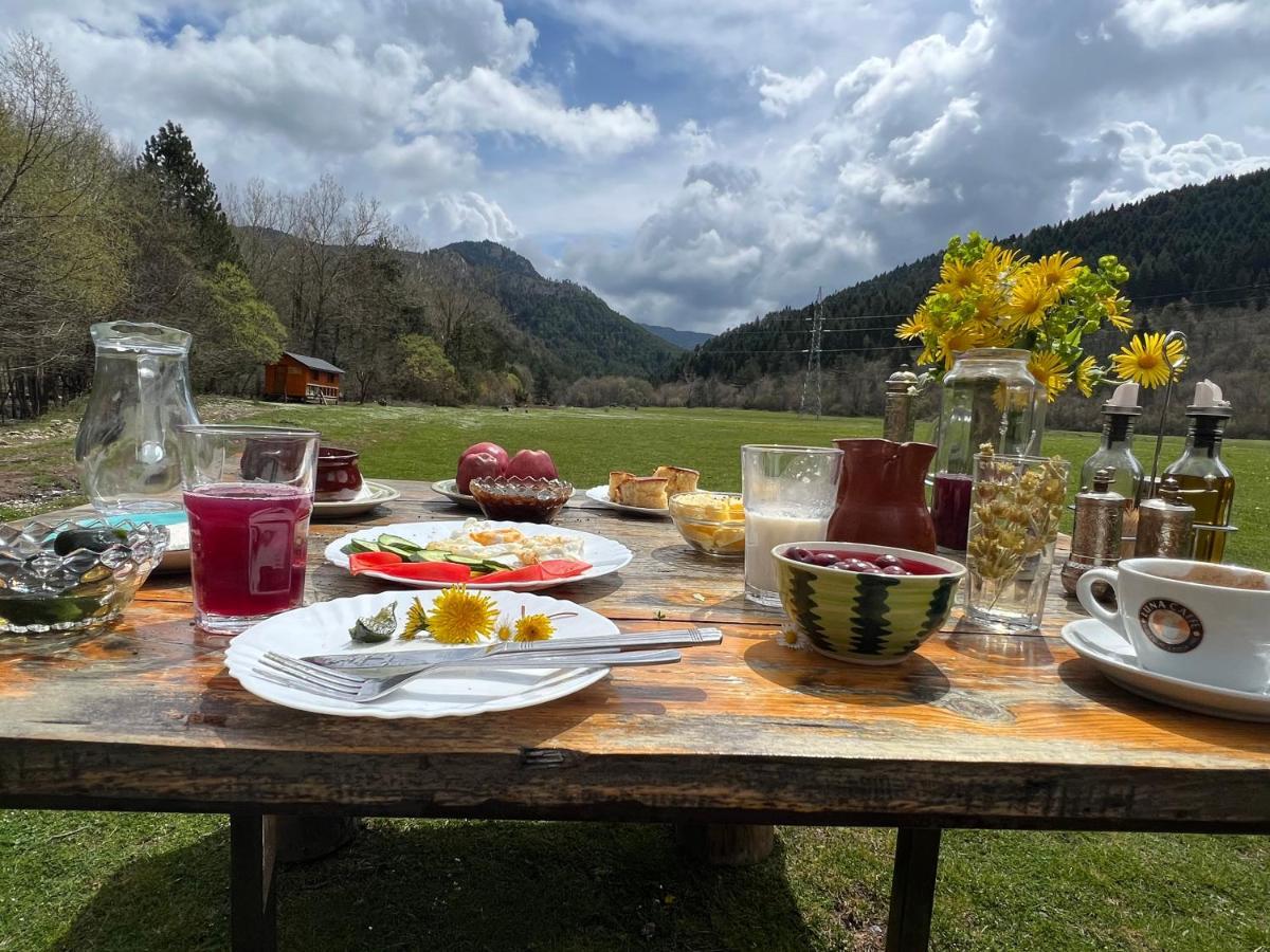Farma Sotira Hotel Leskovik Bagian luar foto