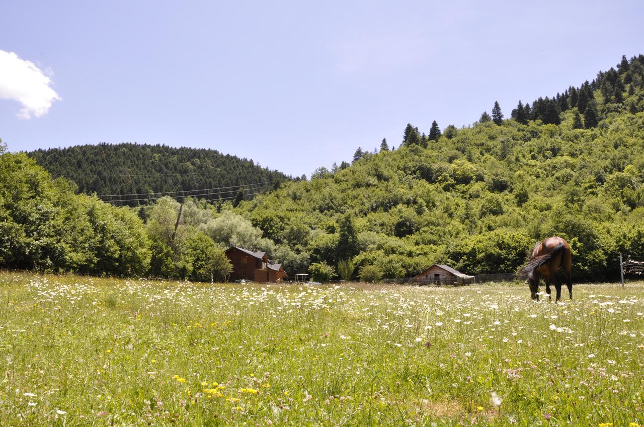 Farma Sotira Hotel Leskovik Bagian luar foto