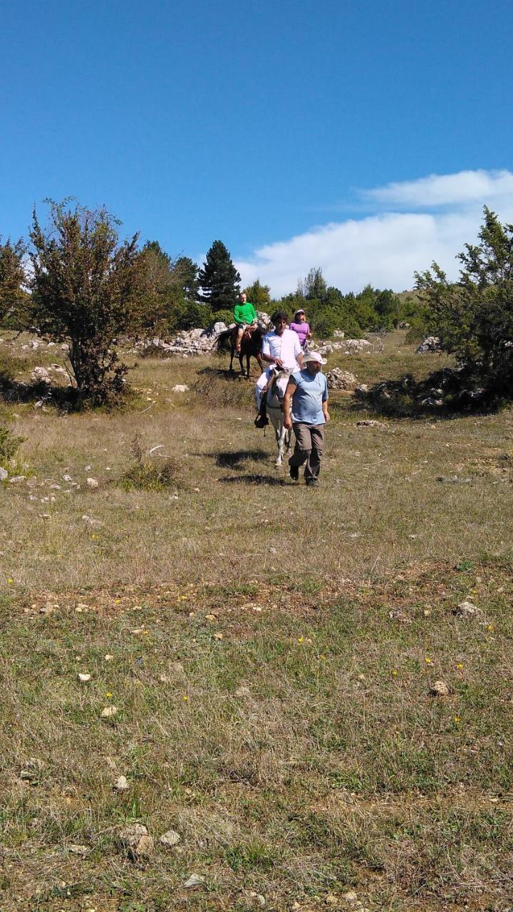 Farma Sotira Hotel Leskovik Bagian luar foto