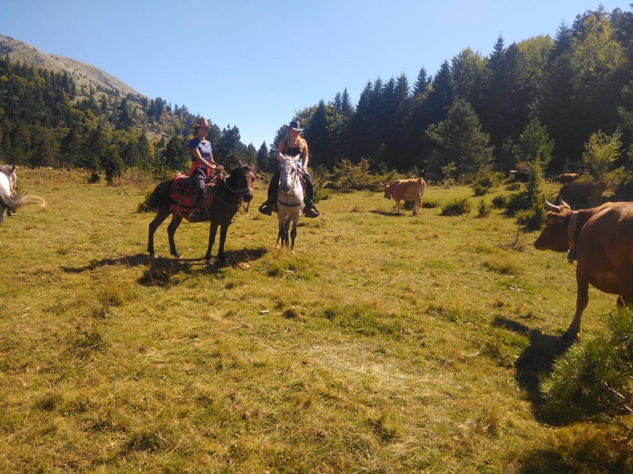 Farma Sotira Hotel Leskovik Bagian luar foto